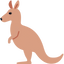 kangaroo cartoon